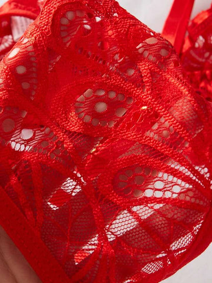 Lace Lingerie Crotchless Bra and Panty Set Erotic Intimates