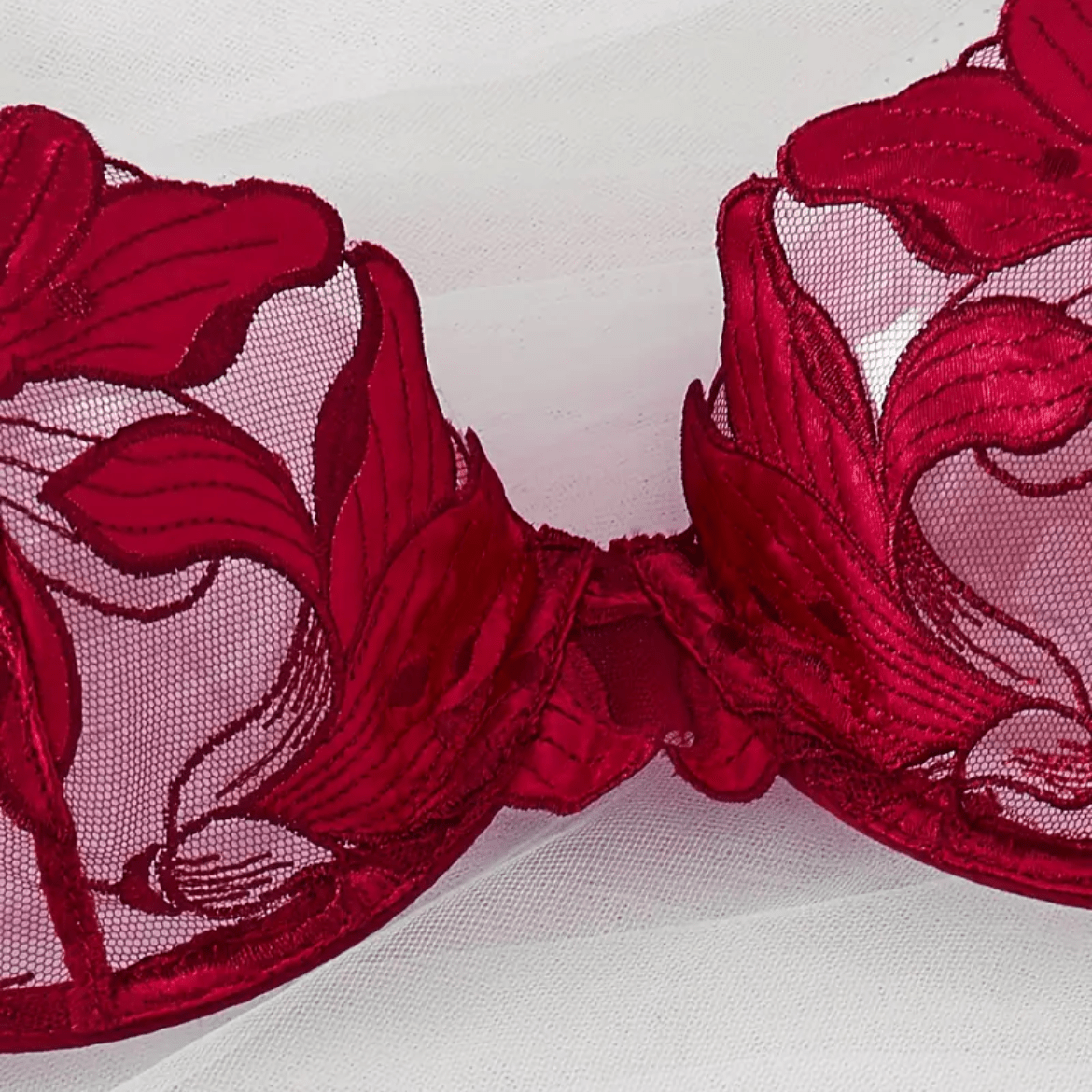 red lace sheer bra